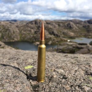 .30 / 219 gr limitless - Image 4