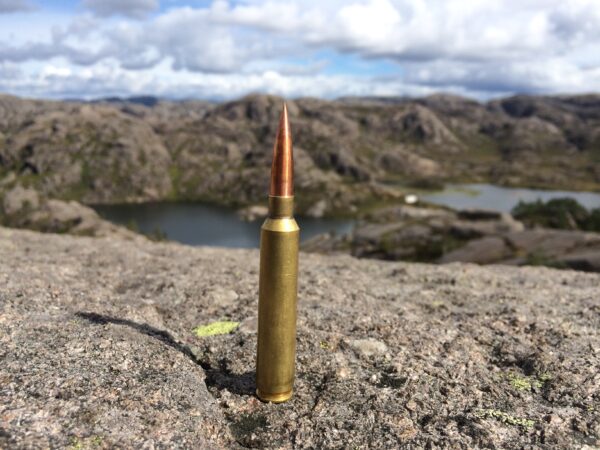 .30 / 219 gr limitless - Image 4